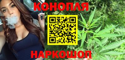 мдпв Обь