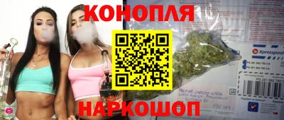 мдпв Обь