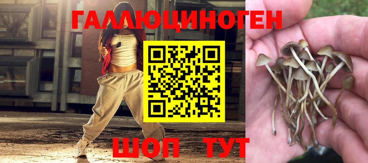 Псилоцибиновые грибы GOLDEN TEACHER  Галлюциногенные грибы Psilocybine cubensis  Вход с VPN  Улан-Удэ 